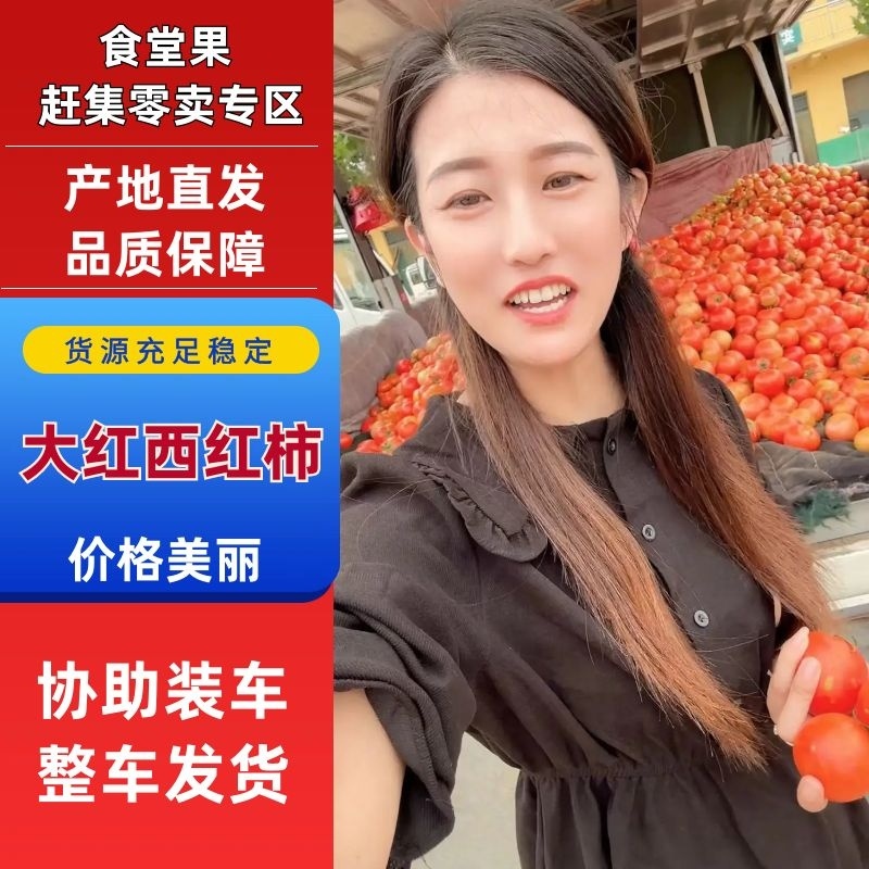 山东西红柿大红硬果西红柿主产地专业代收代发货源充足