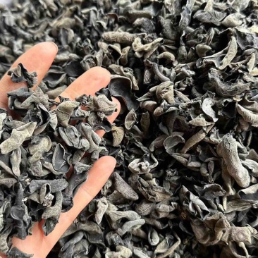 干木耳一手货源，价格优惠，产地直发，欢迎采购