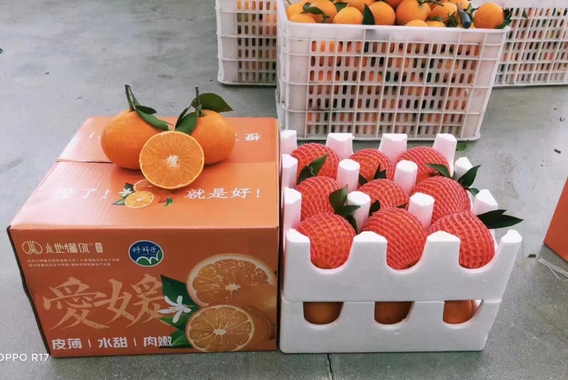 《爱媛果冻橙》四川橙子爱媛橙新鲜爱媛产地一手货源诚信经营