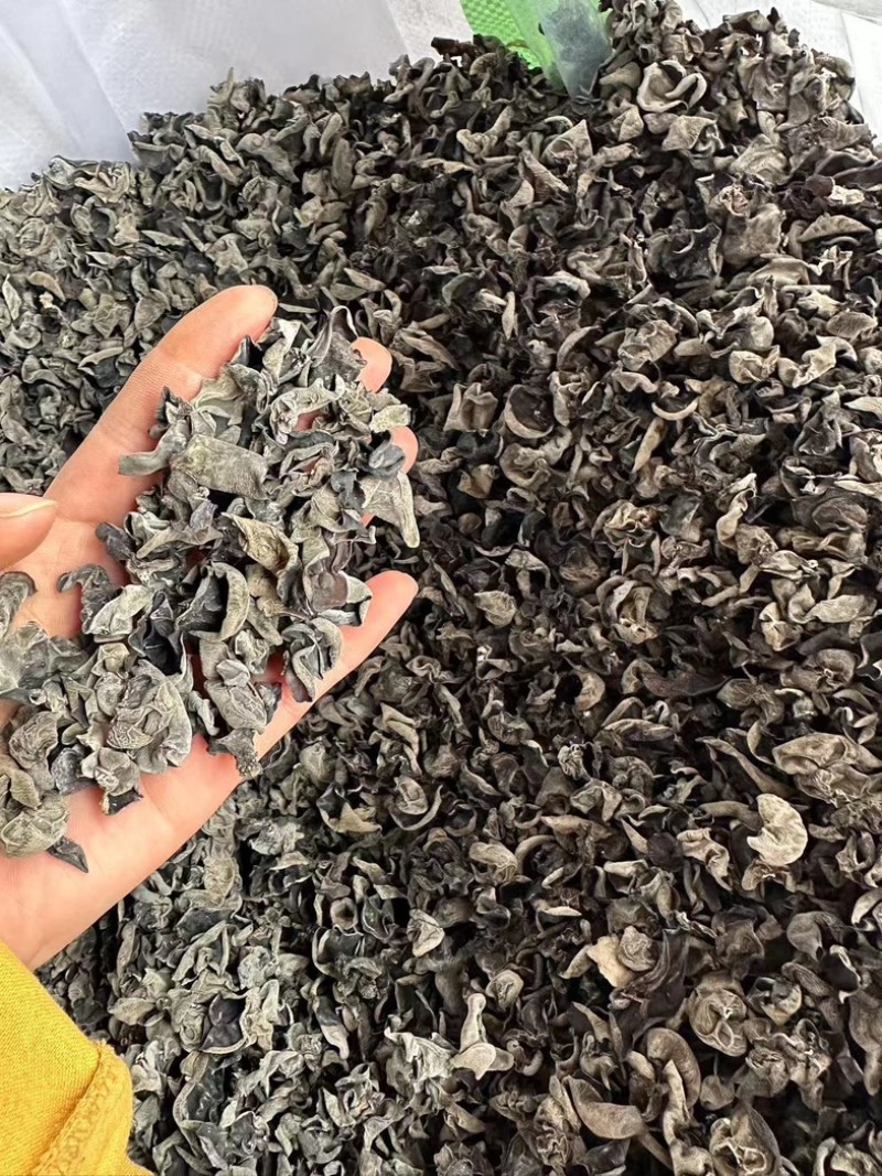 干木耳一手货源，价格优惠，产地直发，欢迎采购