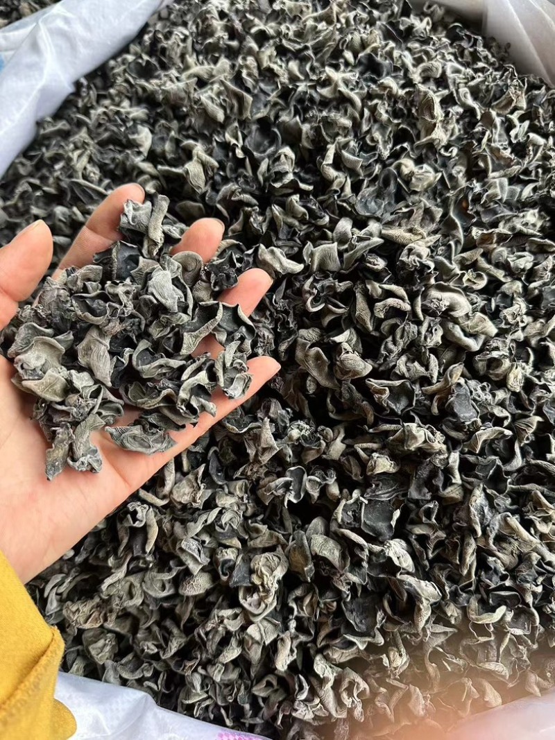干木耳一手货源，价格优惠，产地直发，欢迎采购