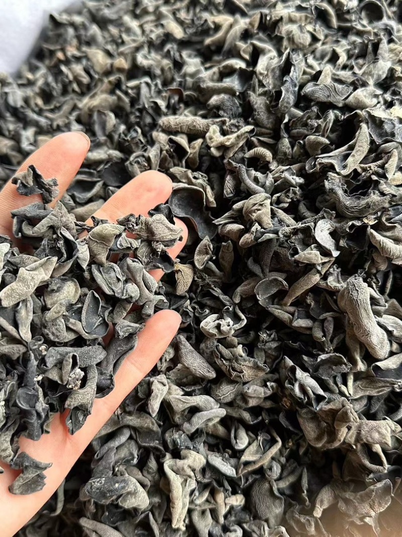 干木耳一手货源，价格优惠，产地直发，欢迎采购