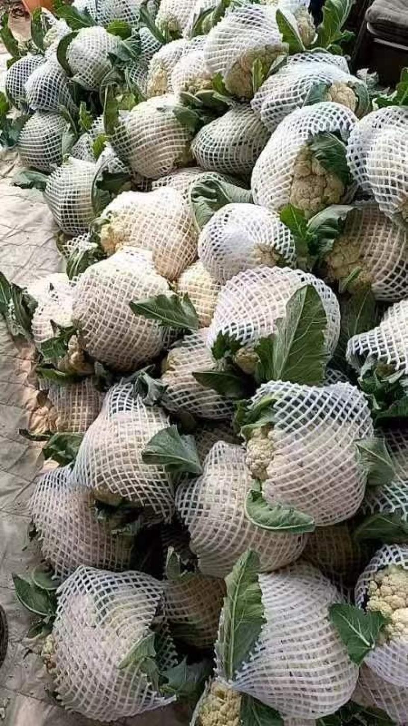 菜花