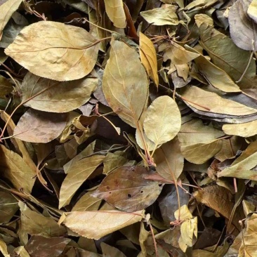 湖北凉茶大量上市，品质保障，可视频看货