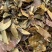 湖北凉茶大量上市，品质保障，可视频看货