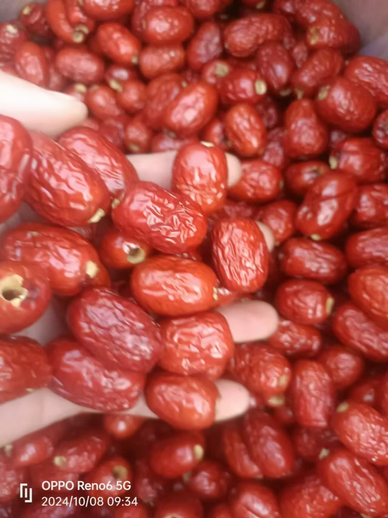 新疆无核灰枣，去核灰枣厂家直销，品质保证！