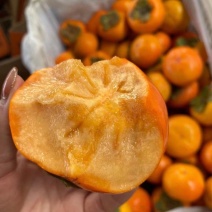 阳丰脆柿（实力供应）陕西脆柿，可视频看货，代发全国