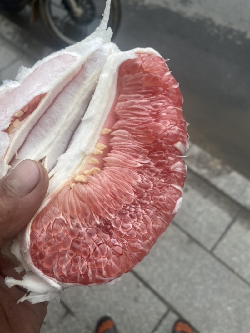 红心蜜柚