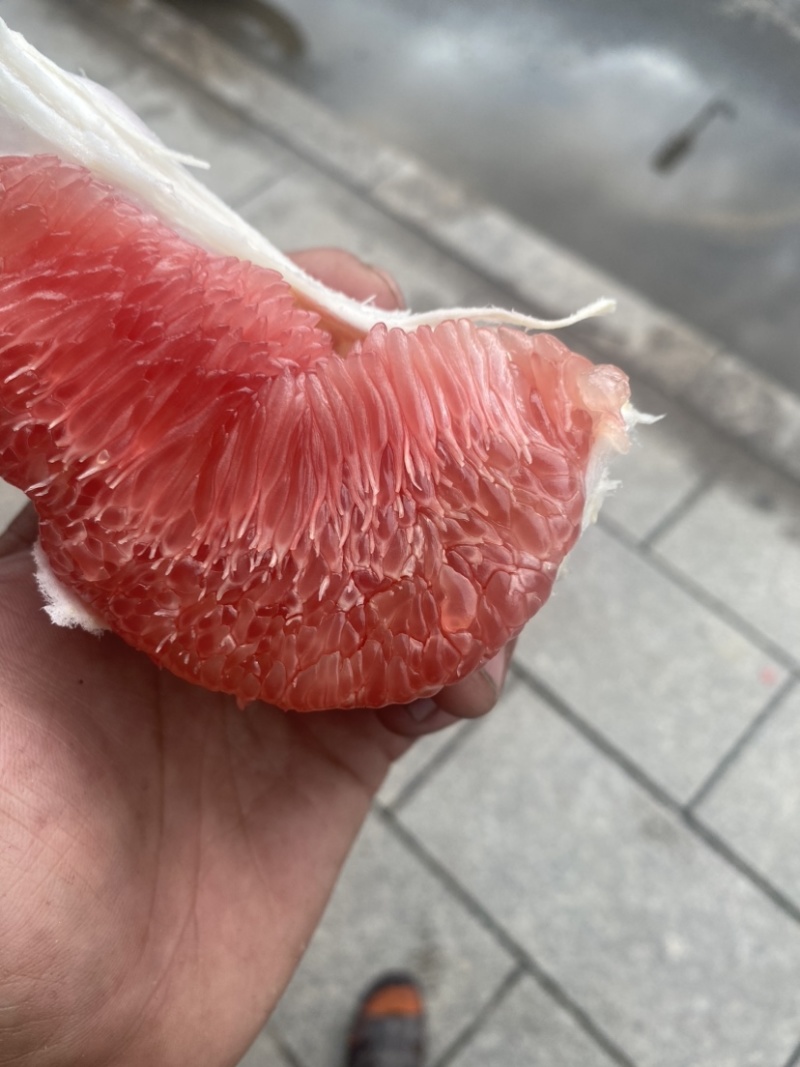 红心蜜柚