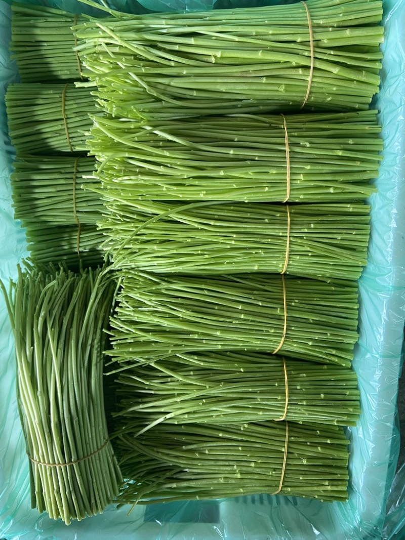 精品芦蒿，新鲜上市