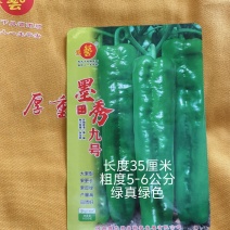 墨秀九号牛角椒种子大果型果皮深绿上部果不变短抗逆性好
