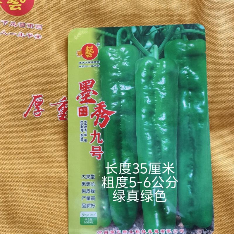 墨秀九号牛角椒种子大果型果皮深绿上部果不变短抗逆性好