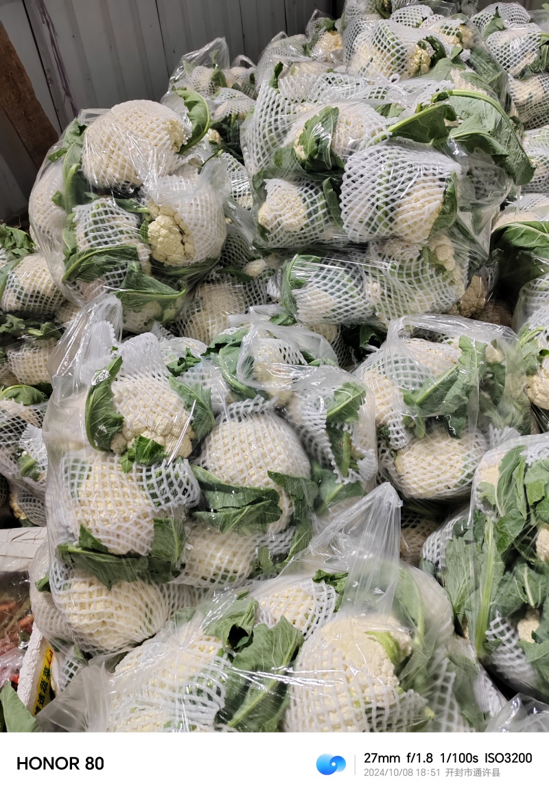 松花菜有机菜花通许花菜产地直发品质保障量大优惠