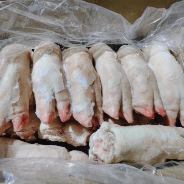 大肥猪蹄后背猪蹄，纯干猪蹄，一斤二三两猪蹄，沈阳现货