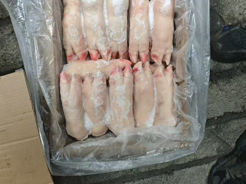 大肥猪蹄后背猪蹄，纯干猪蹄，一斤二三两猪蹄，沈阳现货