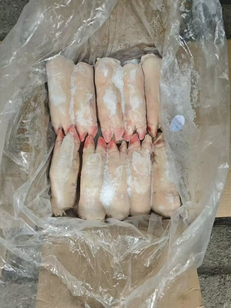 大肥猪蹄后背猪蹄，纯干猪蹄，一斤二三两猪蹄，沈阳现货