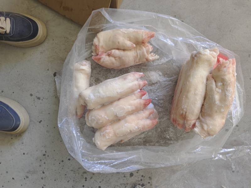 大肥猪蹄后背猪蹄，纯干猪蹄，一斤二三两猪蹄，沈阳现货