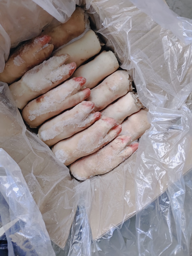 大肥猪蹄后背猪蹄，纯干猪蹄，一斤二三两猪蹄，沈阳现货