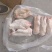 大肥猪蹄后背猪蹄，纯干猪蹄，一斤二三两猪蹄，沈阳现货