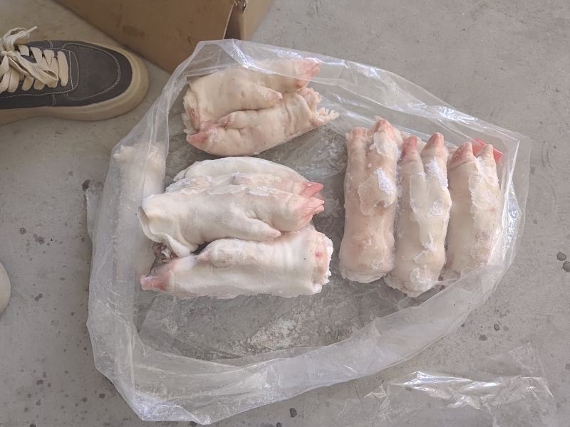 大肥猪蹄后背猪蹄，纯干猪蹄，一斤二三两猪蹄，沈阳现货