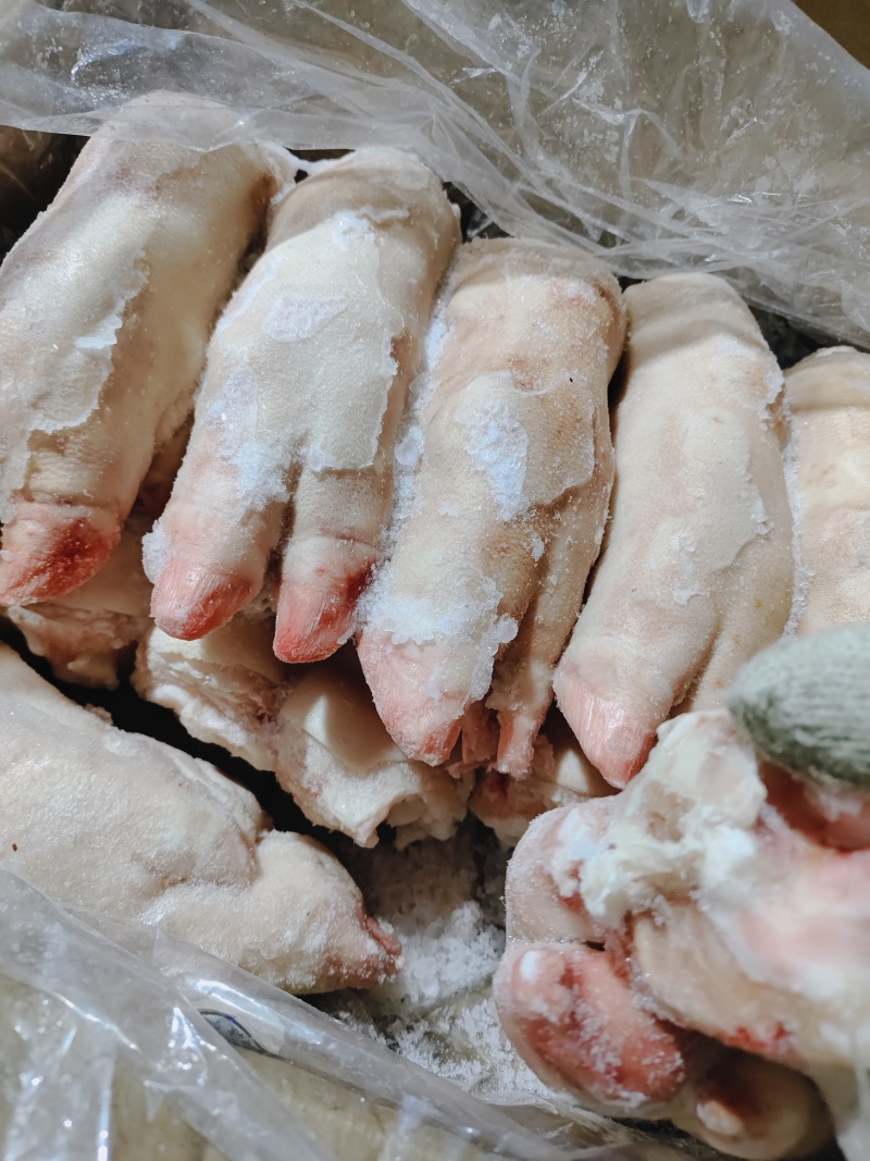 大肥猪蹄后背猪蹄，纯干猪蹄，一斤二三两猪蹄，沈阳现货