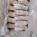 大肥猪蹄后背猪蹄，纯干猪蹄，一斤二三两猪蹄，沈阳现货