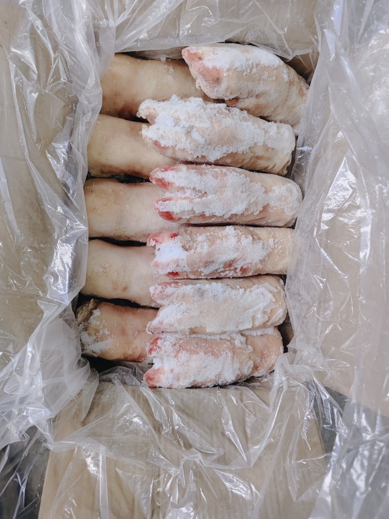 大肥猪蹄后背猪蹄，纯干猪蹄，一斤二三两猪蹄，沈阳现货