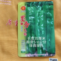墨秀九号牛角椒种子大果型果皮深绿上部果不变短抗逆性好