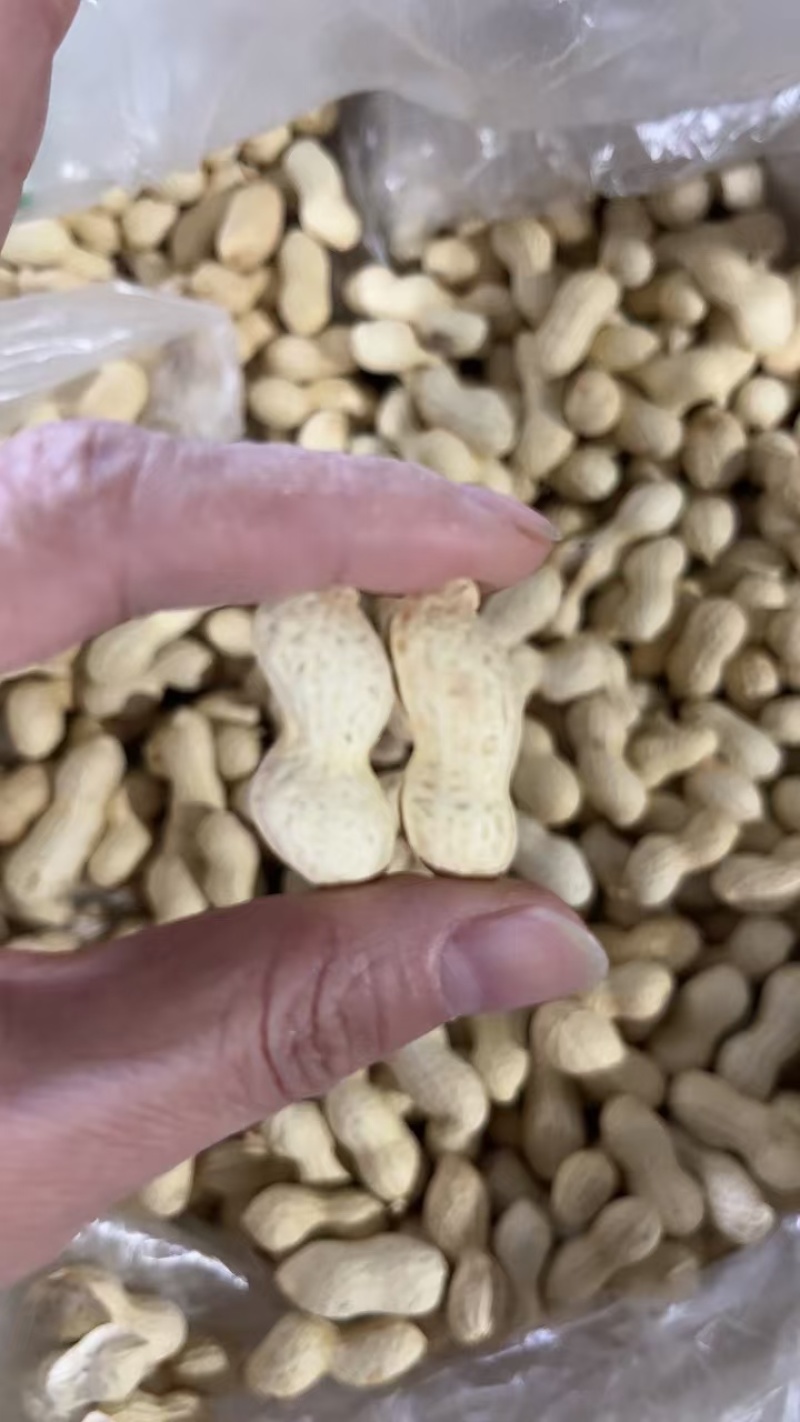 【推荐】五香花生/熟花生/厂家直发/量大优惠/欢迎咨询