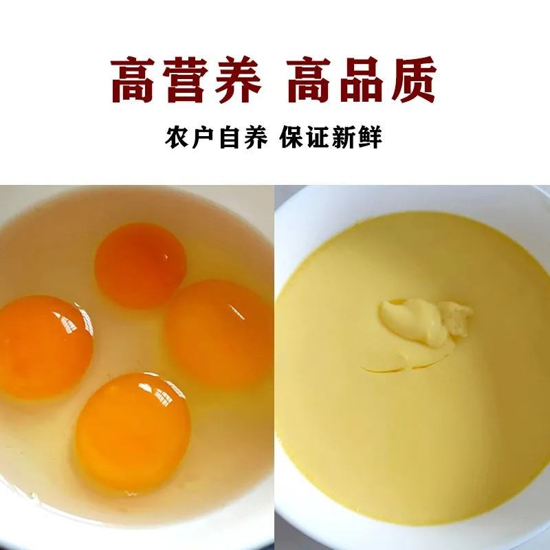 七彩山鸡蛋宝宝辅食新鲜鸡蛋土鸡蛋笨鸡蛋月子鸡蛋礼盒装整箱