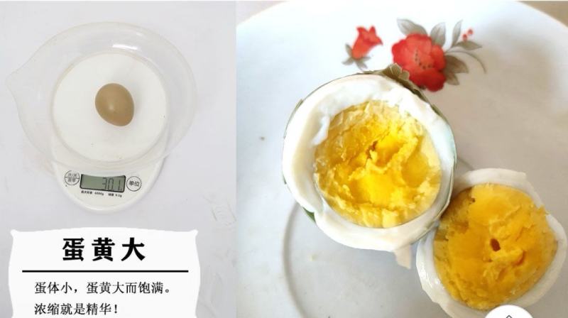七彩山鸡蛋宝宝辅食新鲜鸡蛋土鸡蛋笨鸡蛋月子鸡蛋礼盒装整箱