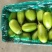 精品青茄