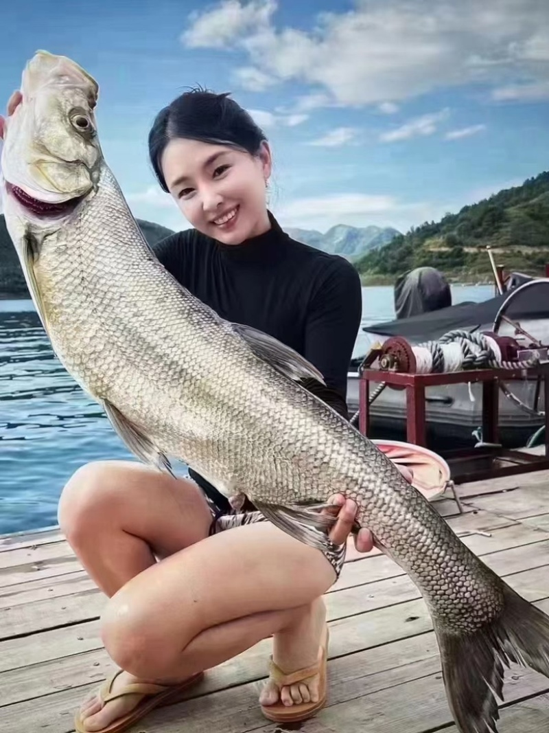 功夫白丝鱼特大900/1000克半边白水鱼大白刁鱼翘嘴