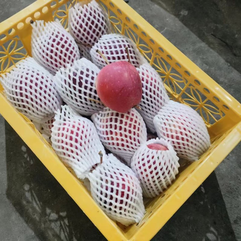 新疆博乐市海棠果产地直发，诚信为本合作共赢，