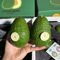 国产牛油果哈斯牛油果新西兰大量有货，支持一件代发批发团购