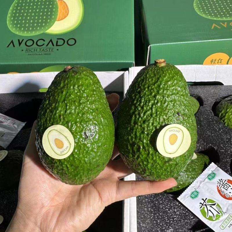 国产牛油果哈斯牛油果新西兰大量有货，支持一件代发批发团购