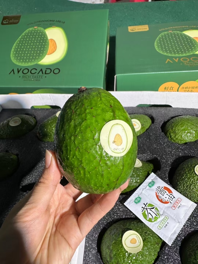 国产牛油果哈斯牛油果新西兰大量有货，支持一件代发批发团购