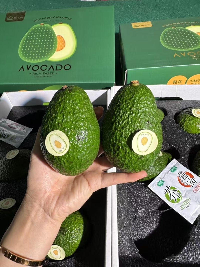 国产牛油果哈斯牛油果新西兰大量有货，支持一件代发批发团购