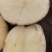 云薯304陆地现货薯片土豆产地直供