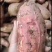 【济薯26】南阳红薯新鲜红薯加工厂饲料养殖一手货源全国发货