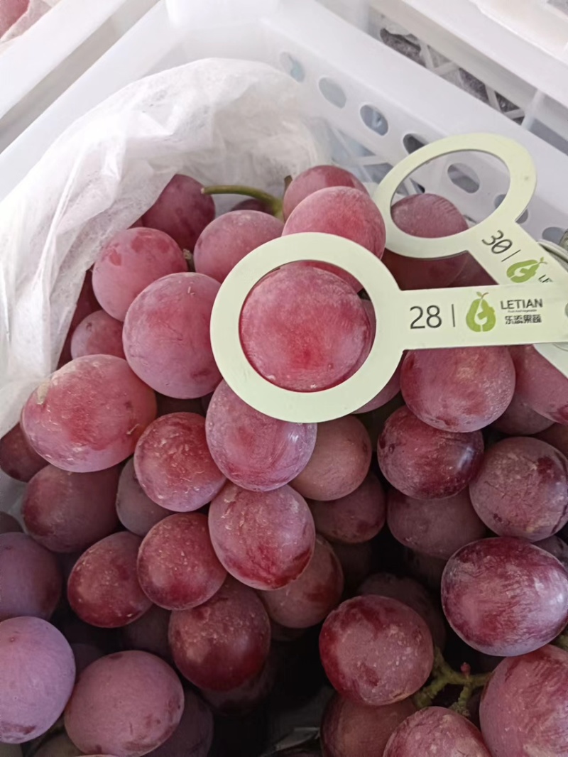 冷库红提大量上市中产地直发品质保证欢迎各位老板洽谈