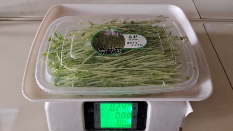 【优选】精品芽苗菜支持视频看货诚信经营做放心好货
