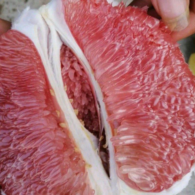 柚子蜜柚新鲜柚子红心蜜柚福建柚子批发全国发货