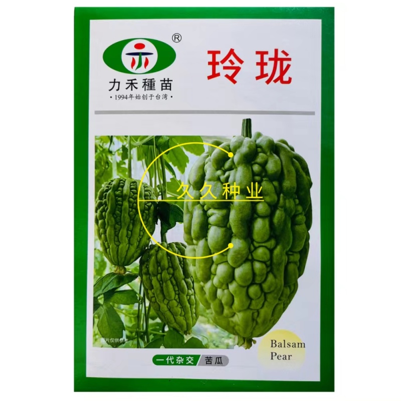 力禾玲珑苦瓜种子珍珠苹果苦瓜种籽疙瘩瓜白凉瓜耐热