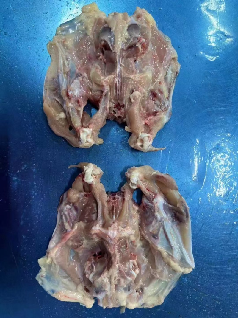 鸡肉