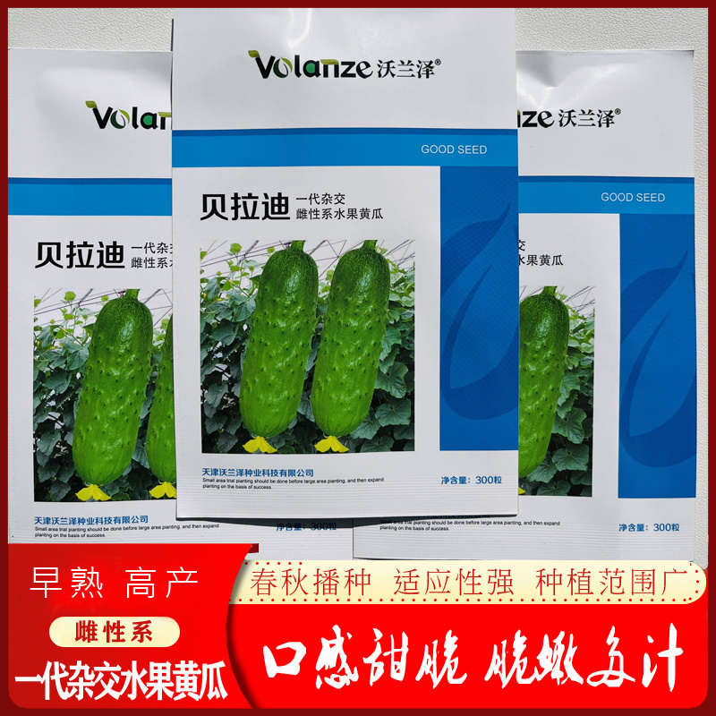 贝拉迪早熟雌性水果黄瓜种子短棒旱黄瓜种籽口感脆甜大田专用