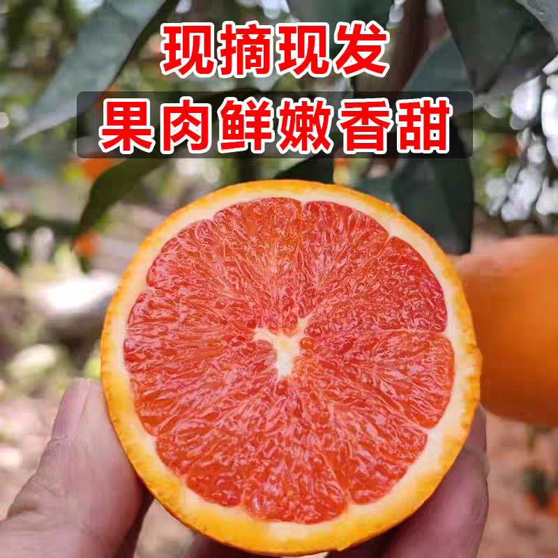 正中资中血橙，产地直发，物美廉价，欢迎致电