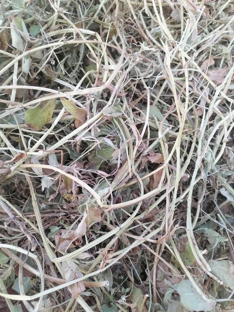 【优选】大量批发优质花生秧草料，无土无膜无霉变，质优价廉