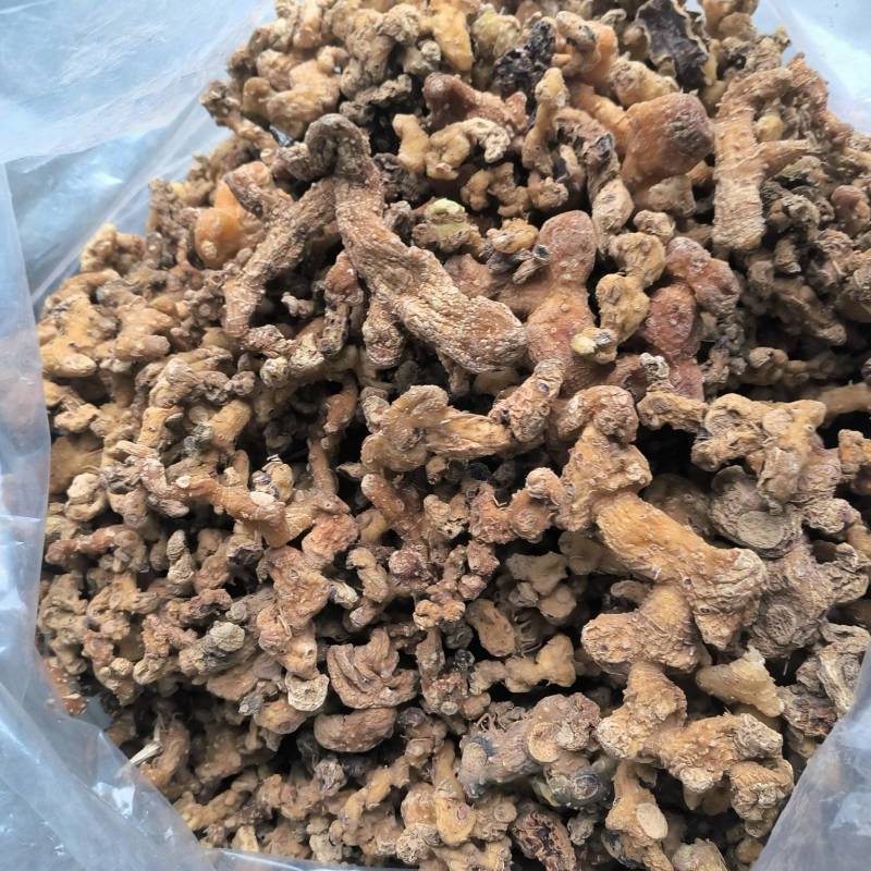 贵州深山老林野生多花倒苗姜型黄精干货