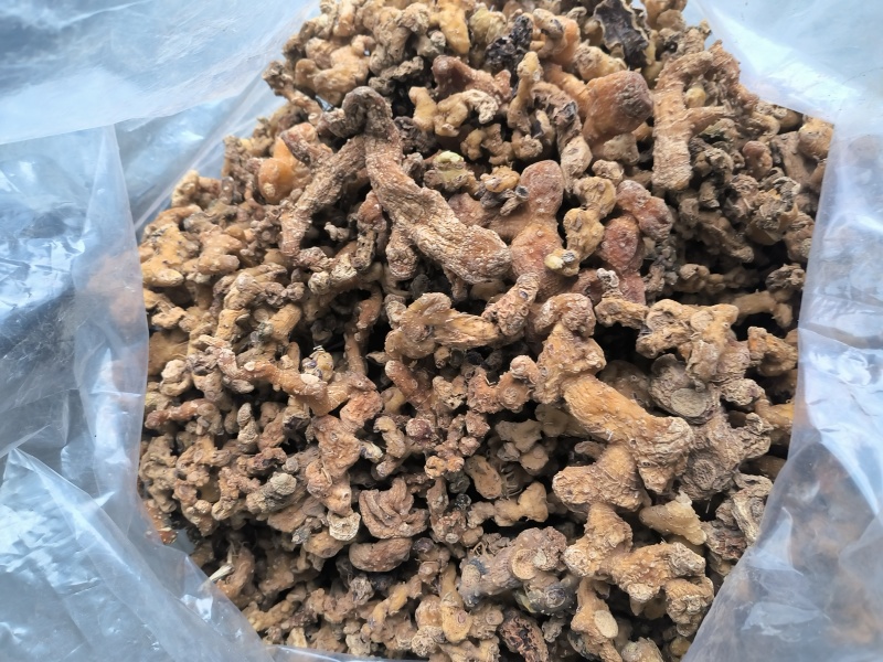 贵州深山老林野生多花倒苗姜型黄精干货